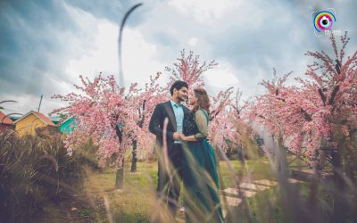 Pixelgaze Photography_Anmol + Kriti_018