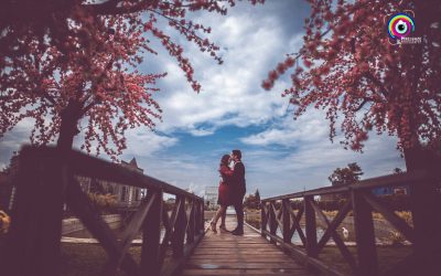 Pixelgaze Photography_Anmol + Kriti_214