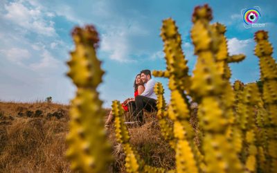 Pixelgaze_Roma & Malhar_Post Wedding_240